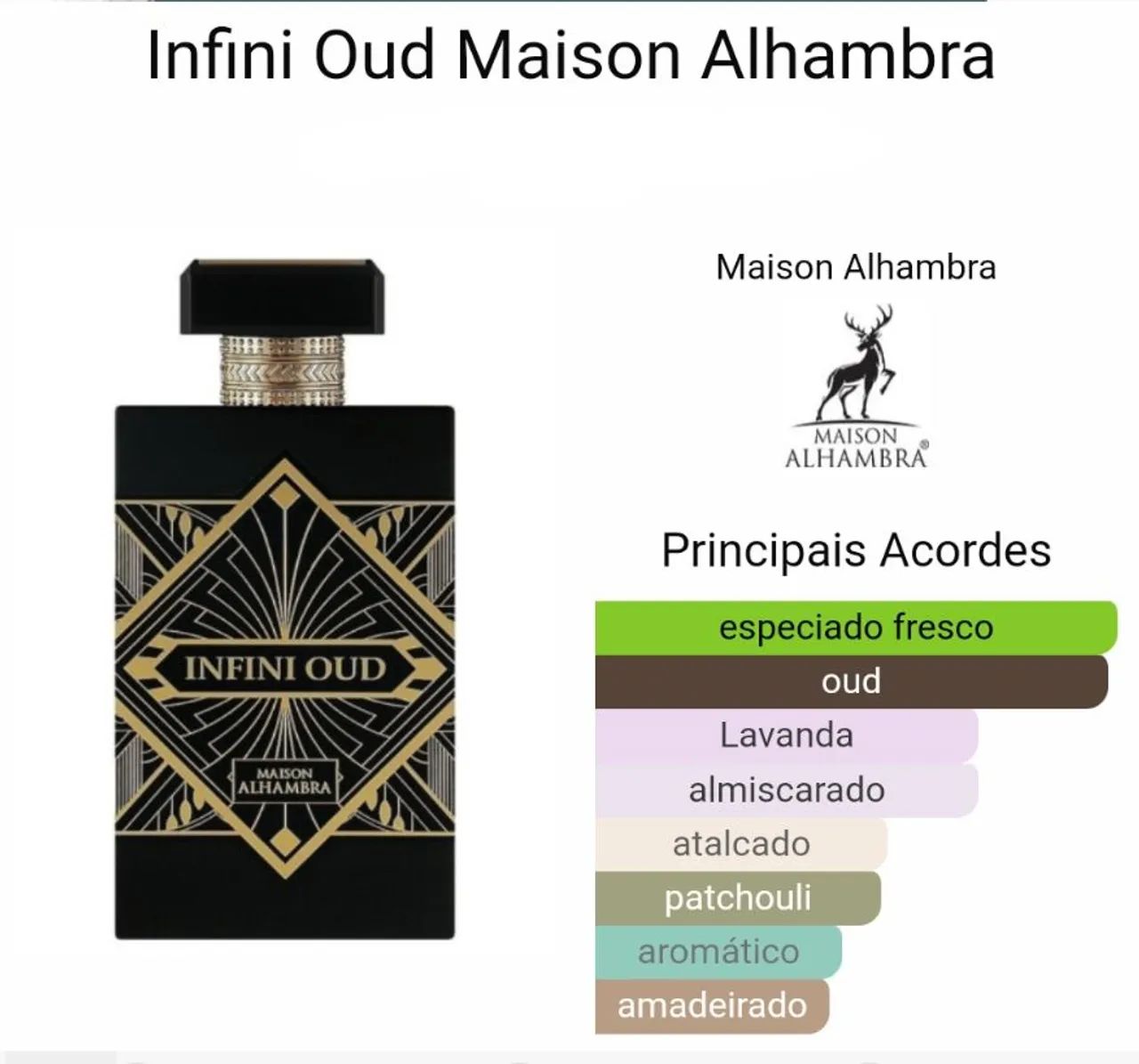 Infini Oud da Maison Alhambra Eau de Parfum Masculino 100ml - Imagem 4